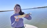 Septiembre llega con mucha pesca en todo el país