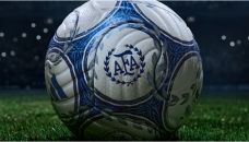 Pelota oficial