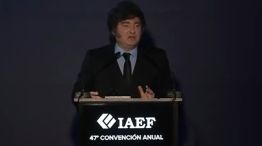 Javier Milei en la IAEF