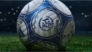 Pelota oficial