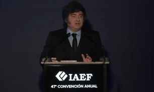 Javier Milei en la IAEF