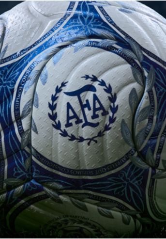 Pelota oficial