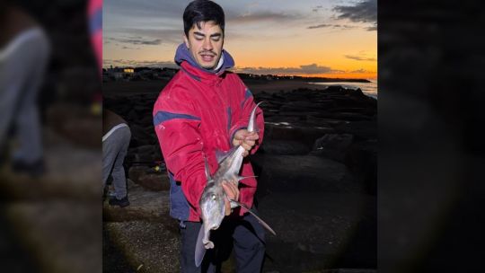 Miramar anticipa una gran primavera: aparecieron los gallos y se activó la pesca variada