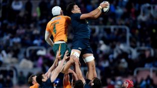 Los Pumas vs Wallabies