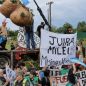 Misiones: productores yerbateros recibieron a Javier Milei con un tractorazo
