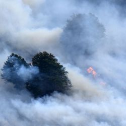 Esta fotografía muestra una columna de humo que envuelve árboles durante un incendio forestal cerca de Etsaut, en el suroeste de Francia. | Foto:Gaizka Iroz / AFP