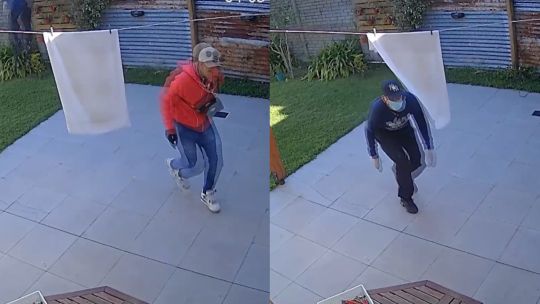 Ladrones saltaron paredes y cometieron un violento asalto a una jueza en La Plata: "Vos tenés una caja fuerte"