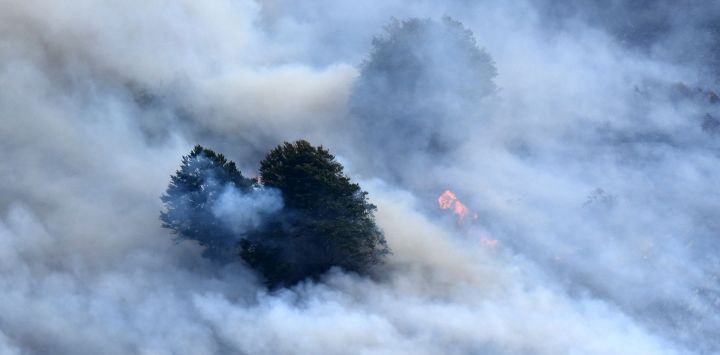 Esta fotografía muestra una columna de humo que envuelve árboles durante un incendio forestal cerca de Etsaut, en el suroeste de Francia.