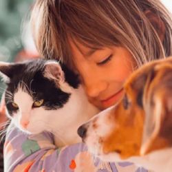 Esta iniciativa intenta dar respuesta a las necesidades de aquellos que consideran a sus mascotas un miembro fundamental de su núcleo familiar