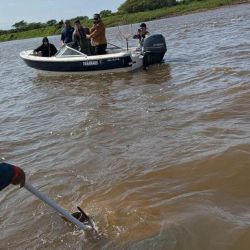 Las rayas de agua dulce forman parte de la fauna característica de los grandes ríos de la cuenca del Paraguay y el Paraná. Son peces cartilaginosos, de cuerpo aplanado, adaptados a desplazarse y permanecer en los fondos de los ambientes acuáticos.
