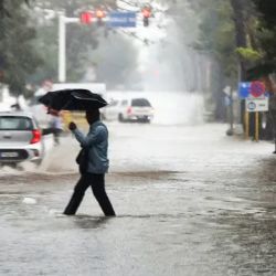 La iniciativa propone establecer un marco jurídico de prevención y mitigación que inicialmente tendrá una vigencia de 180 días corridos.