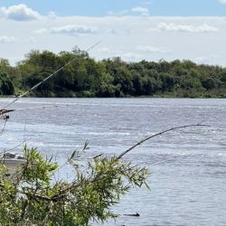 La Fiesta Provincial de Pesca Embarcada para Mujeres continúa creciendo y, edición tras edición, se consolida como una de las propuestas femeninas dentro del calendario de concursos de pesca deportiva del Litoral argentino.