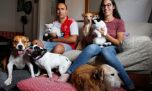 Proponen habilitar el entierro de personas junto a sus animales de compañía