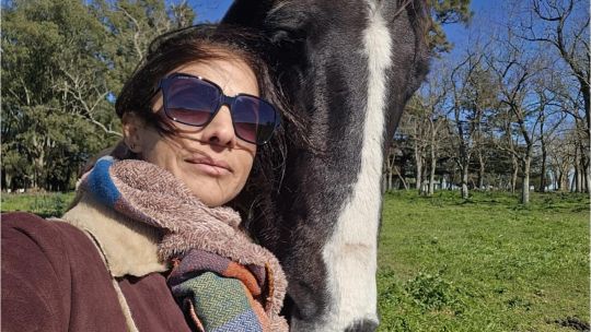 Cuando el cuerpo habla antes que la mente: por qué el coaching con caballos fortalece la inteligencia emocional