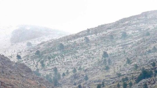 La ola polar sorprendió y transformó el paisaje de Sierra de la Ventana con una nevada durante el fin de semana