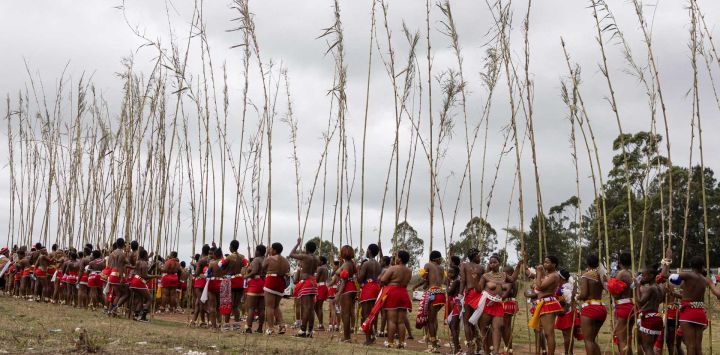 Jóvenes zulúes portando cañas caminan hacia el palacio real antes de presentárselas al rey Misuzulu kaZwelithini durante la Umkhosi Womhlanga (Danza de las Cañas en zulú), una ceremonia tradicional que celebra la cultura zulú, en Ingwavuma, KwaZulu-Natal. Cada septiembre, miles de mujeres, conocidas localmente como doncellas, se congregan en el palacio real, en la provincia de KwaZulu-Natal, al sureste del país, para presentar una caña alta al rey Misuzulu kaZwelithini, como parte de un rito tradicional de iniciación a la feminidad.
