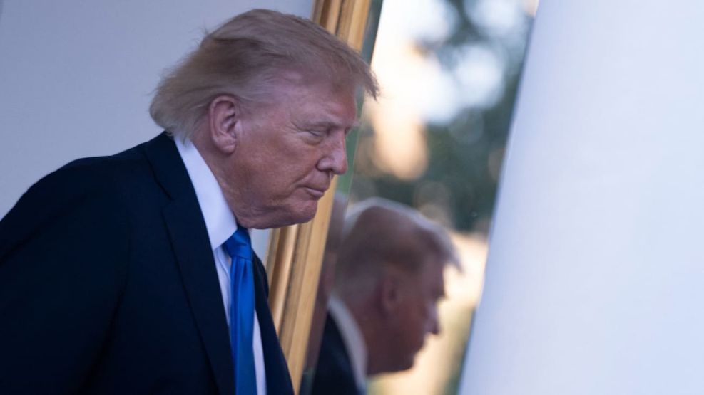 Donald Trump en el espejo