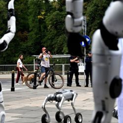 En julio se aprobó una ley en Polonia destinada a hacer cumplir la legislación europea vigente en materia de IA, a través de de una autoridad nacional específica.