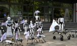 Lo que faltaba: decenas de robots exigen mayor regulación de la IA en Polonia