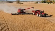 Agro