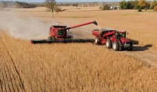 Agro