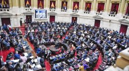 Diputados