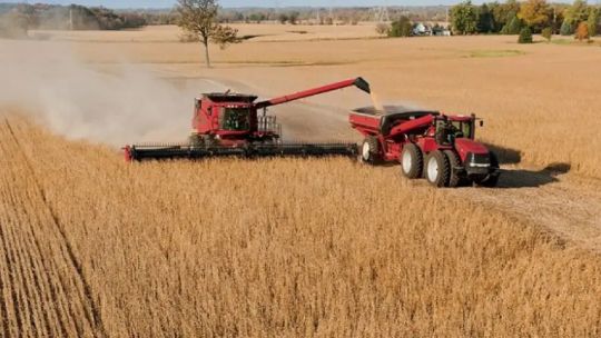Escenario favorable en el mercado de commodities: “Argentina está competitiva en todo este contexto internacional”