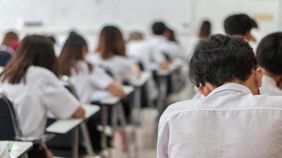 Docentes y alumnos