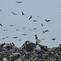 Un recolector busca artículos reutilizables en el vertedero de Pirana, en Ahmedabad, India. | Foto:Shammi Mehra / AFP