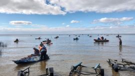 La Balandra se llenó de kayaks y corvinas: así fue la gran jornada de pesca en Berisso