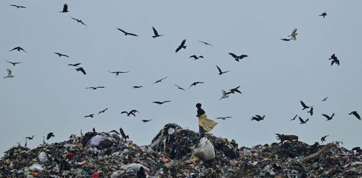 Un recolector busca artículos reutilizables en el vertedero de Pirana, en Ahmedabad, India.