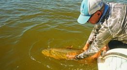 1009_pesca