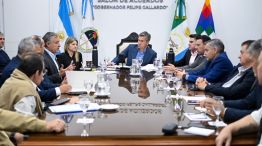 Zdero junto a su gabinete.
