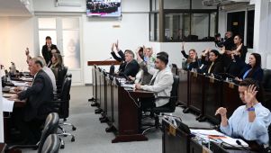 Cámara de Diputados del Chaco