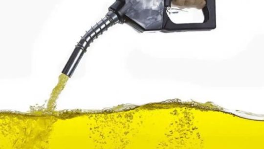 Axel Boerr cuestionó la ley de biocombustibles: “La regulación que están impulsando con un calzador es discriminatoria para el biodiesel”