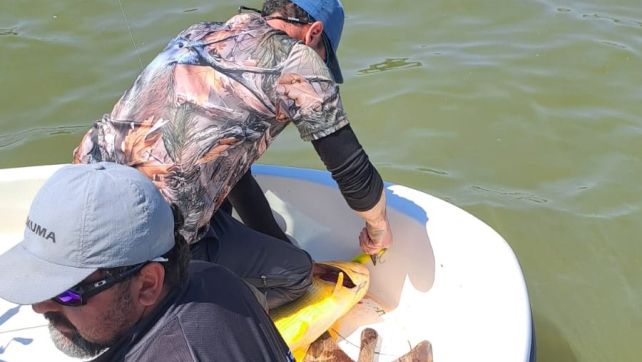 veda pesquera río paraná