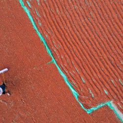 Un agricultor rastrilla chiles que se secan en una aldea de Qianxi, en la provincia de Guizhou, suroeste de China. | Foto:CN-STR / AFP