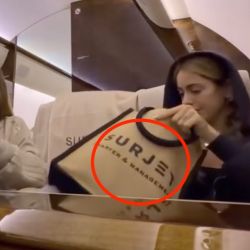 Tini en el avión de Scatturice rumbo a París para probarse el vestido de novia. | Foto:Cedoc.