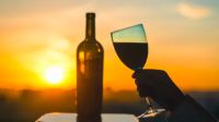 Una nueva experiencia dedicada al vino llega a Punta del Este