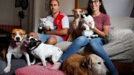 1109_mascotas