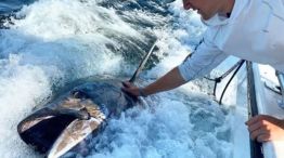 1109_pesca