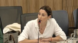 Pagano en la Comisión de Libertad de Expresión