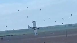 Cayó una avioneta de fumigación en Entre Ríos: el piloto está internado en terapia intensiva