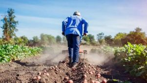 Productor agropecuario