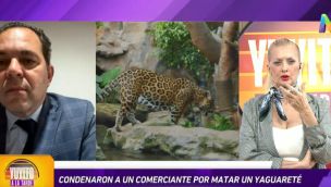 Condenaron a un comerciante por matar a un yaguareté