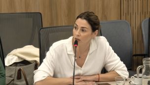 Pagano en la Comisión de Libertad de Expresión