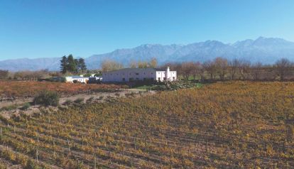 Bodega Claroscuro: el espacio donde el vino de altura y el arte argentino se encuentran