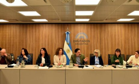PERFIL expuso en la Comisión de Libertad de Expresión sobre los ataques y restricciones del Gobierno contra la prensa