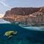 Fotogaleria Una tortuga se desplaza por las aguas frente a Monemvasía, Grecia, con la ciudadela medieval alzándose sobre el mar