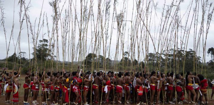 Jóvenes zulúes sostienen juncos antes de presentárselos al rey zulú Misuzulu kaZwelithini frente al palacio real durante la ceremonia anual *Umkhosi Womhlanga* (la Danza del Junco) en Ingwavuma, KwaZulu-Natal. Cada mes de septiembre, miles de mujeres —conocidas localmente como *maidens* (doncellas)— acuden al palacio real en la provincia de KwaZulu-Natal, en el sureste del país, para entregar un junco alto al rey zulú Misuzulu kaZwelithini como parte de un rito tradicional de transición a la edad adulta femenina.